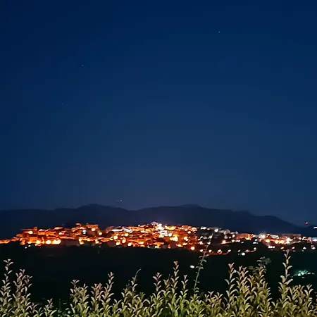 Rosa קונטורסי